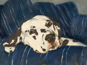Blue Dog