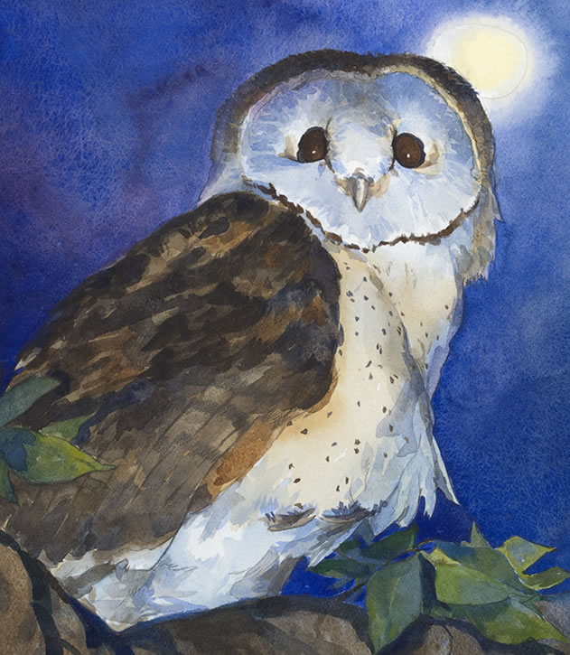 Owl by James Ransome